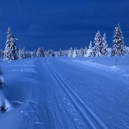 Mountain View Apartment With Sauna Nordseter Екстериор снимка